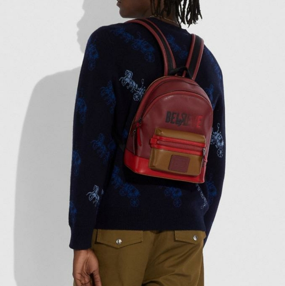 Coach Limited Edition Burlington VT Lake Monster - Picture 4 of 5